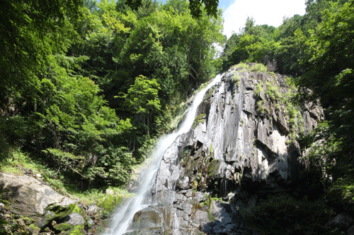 清見庵