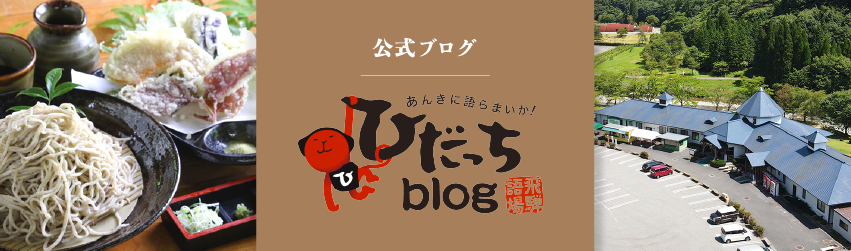 ひだっちblog